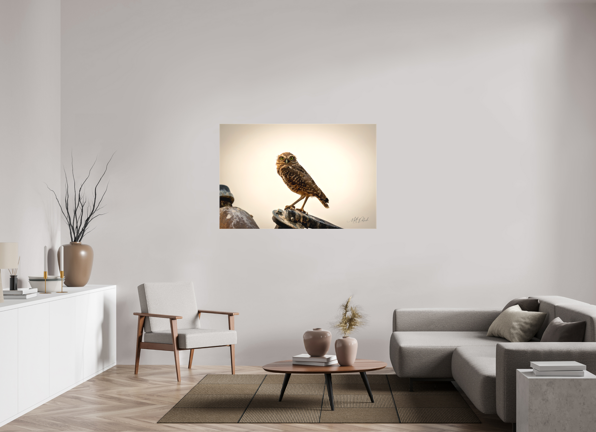 54 x 36″, Canvas Burrowing Owl