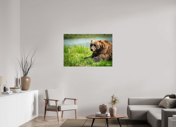 45 x 30″, Canvas Brown Bear