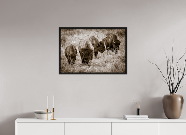 30 x 20″, Floater Frame Bison Harem