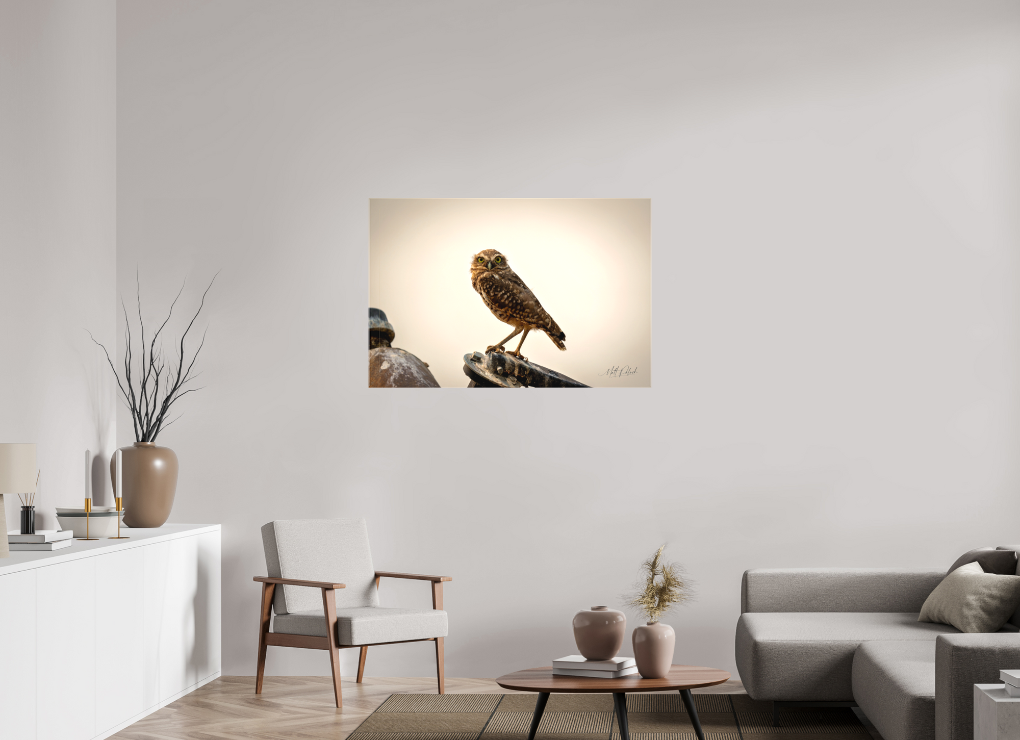 45 x 30″, Canvas Burrowing Owl