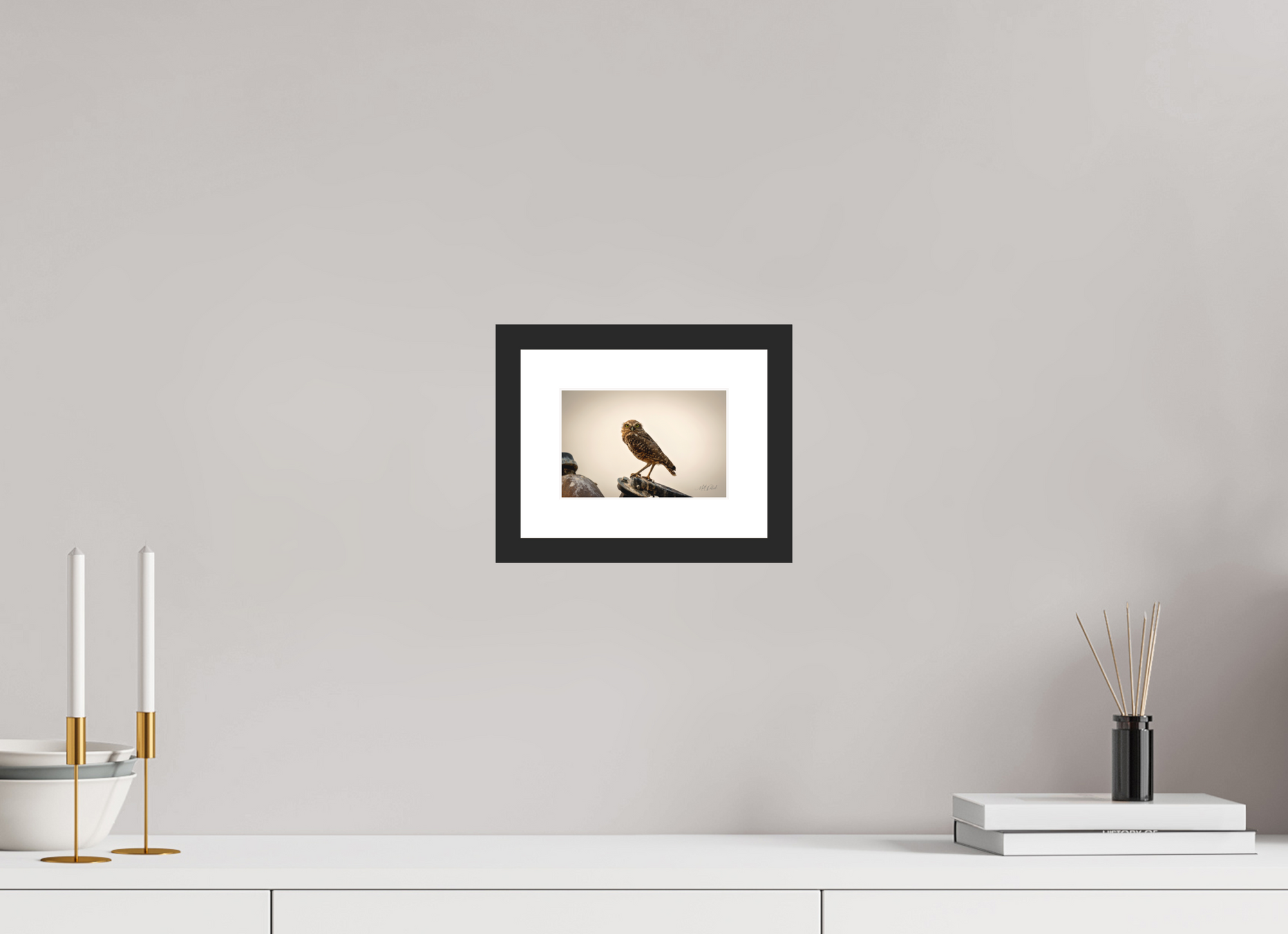 6 x 4″, Black White Burrowing Owl