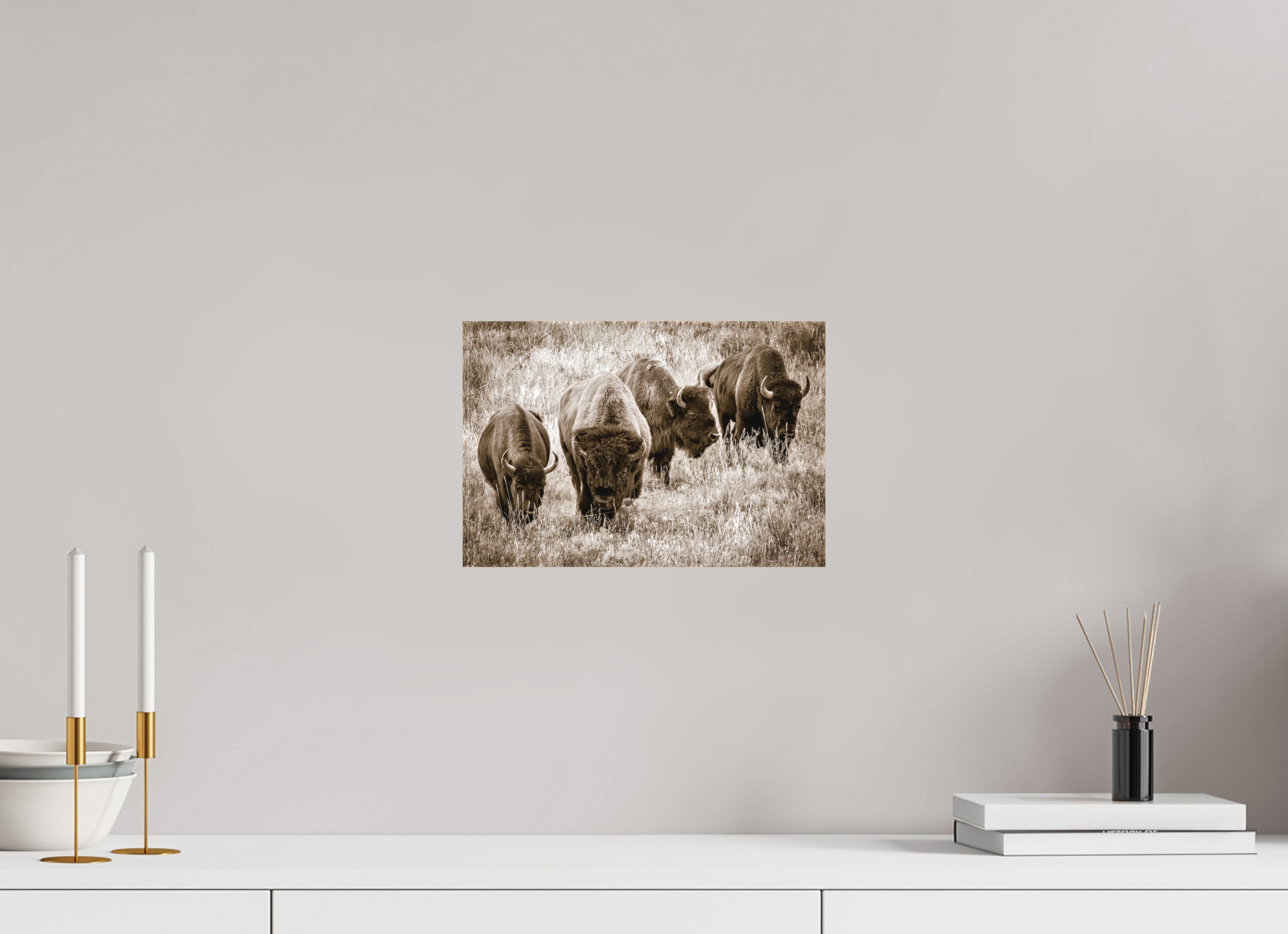 12 x 8″, Canvas Bison Harem