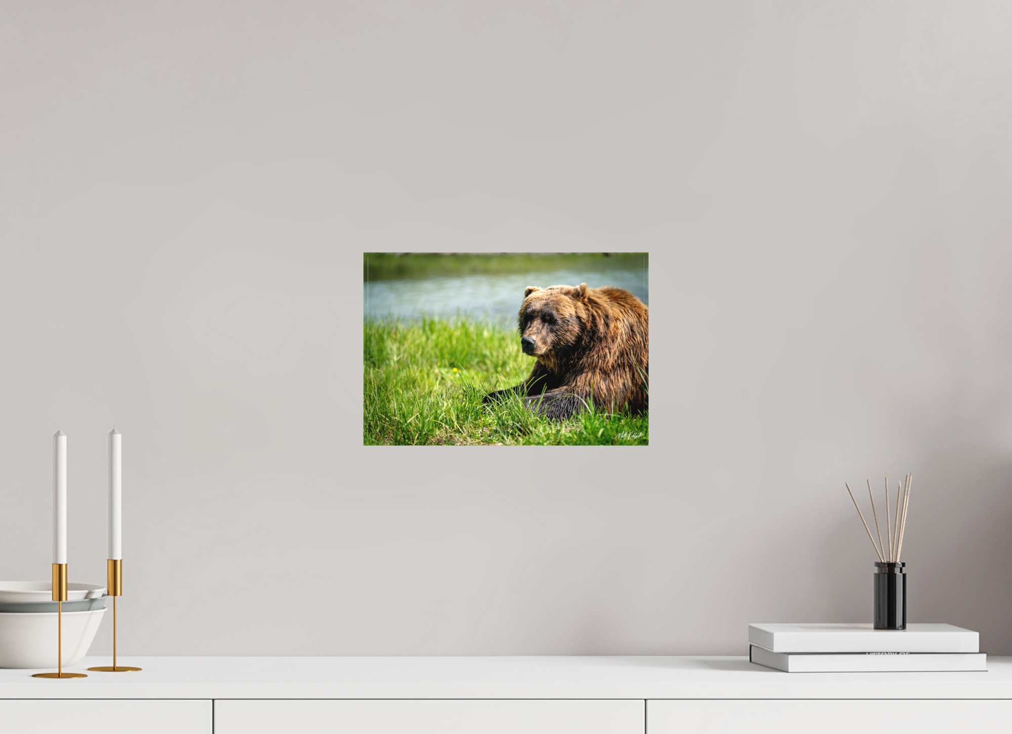 12 x 8″, Canvas Brown Bear