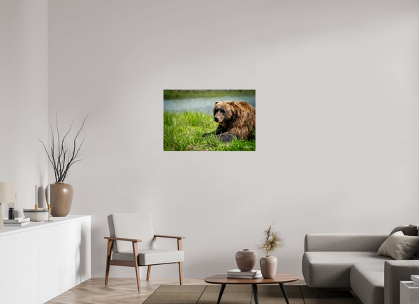 36 x 24″, Metal Brown Bear