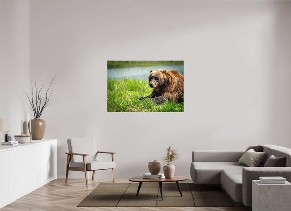 54 x 36″, Canvas Brown Bear
