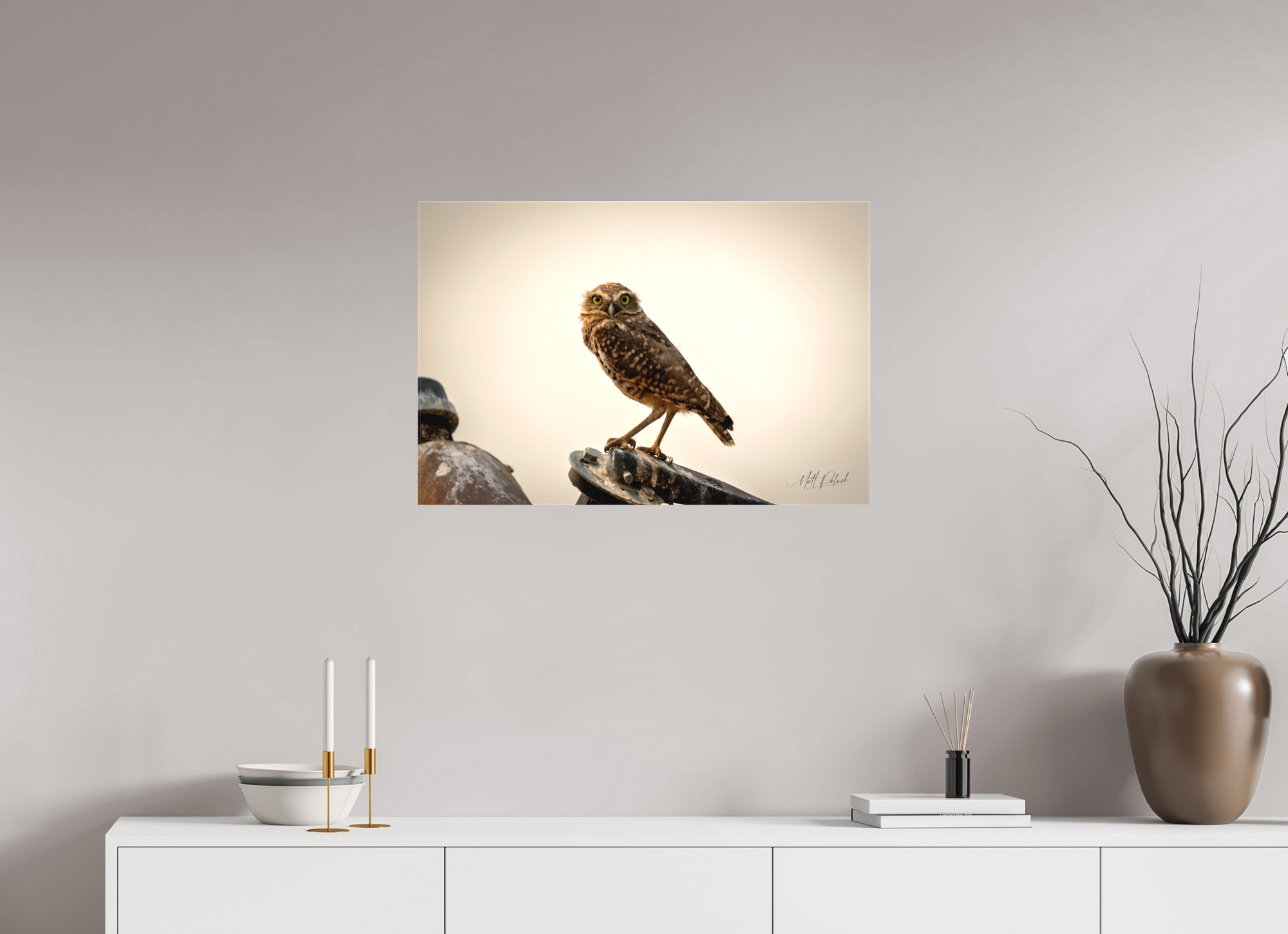 30 x 20″, Canvas Burrowing Owl