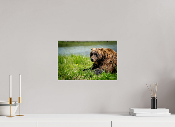 15 x 10″, Metal Brown Bear