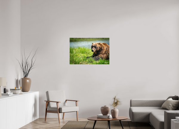 36 x 24″, Canvas Brown Bear