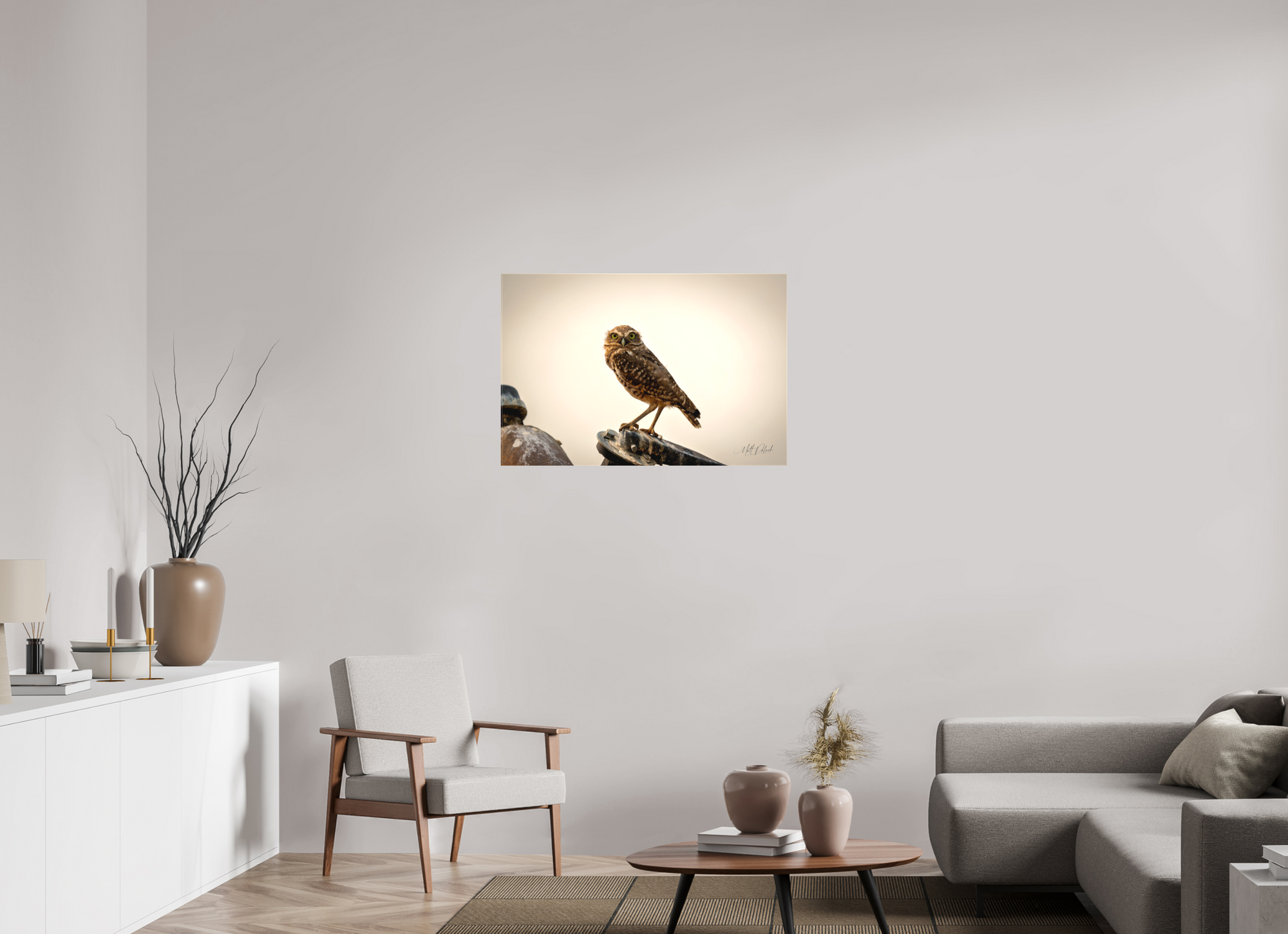 36 x 24″, Canvas Burrowing Owl