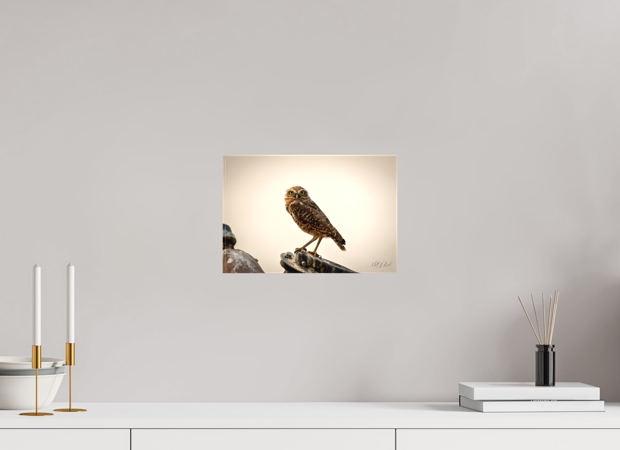 12 x 8″, Canvas Burrowing Owl