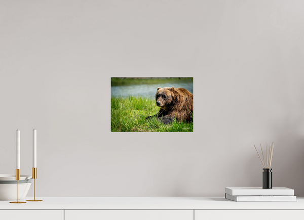 12 x 8″, Metal Brown Bear