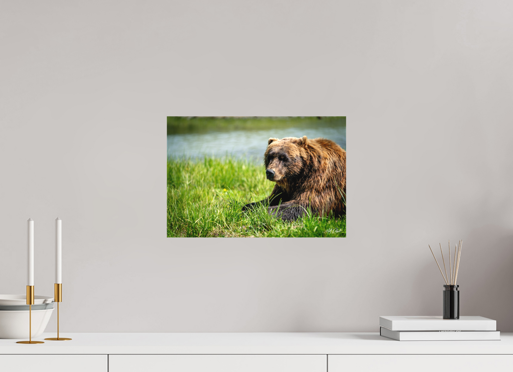 15 x 10″, Canvas Brown Bear