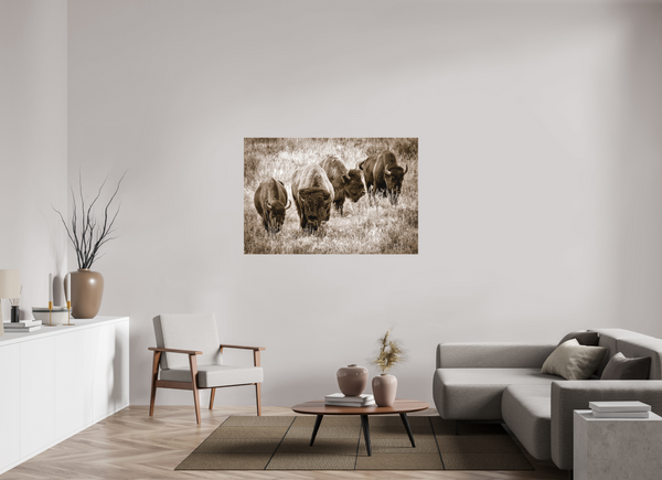 54 x 36″, Canvas Bison Harem